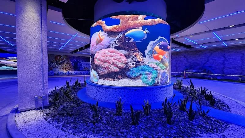 Bowlero Anaheim - Image 2